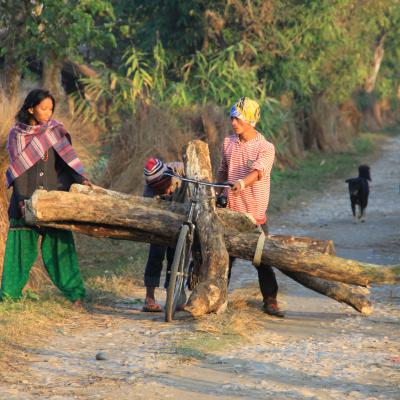 Nepal Chitwan village bike wood people