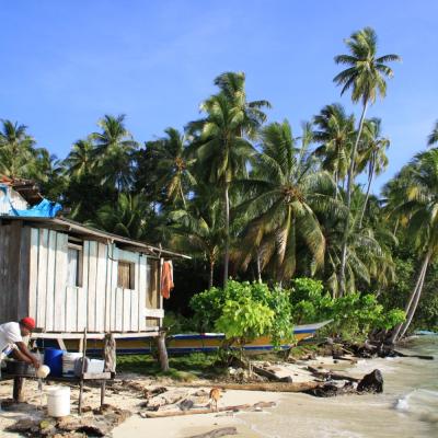 Indonesia Rani Island west Papua Biak tropical palmtrees 