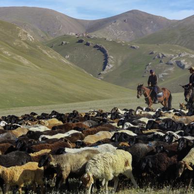 Kyrgyzstan song Kul lake nomads livestock  