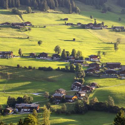 Austria, alpbach alps, alpbachtal, house, green, road, 