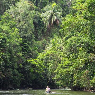 Indonesia Biak West Papua Jungle canoe 