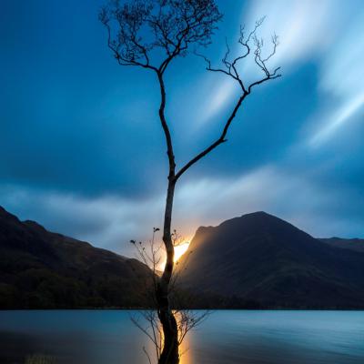 England, sunrise, lake district, lake, Cumbria,UK, landscape , reflections, Lone tree