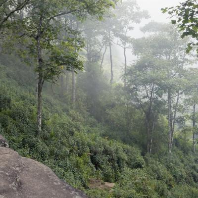 Vietnam, Sapa valley, portrait, boy, cloud forest